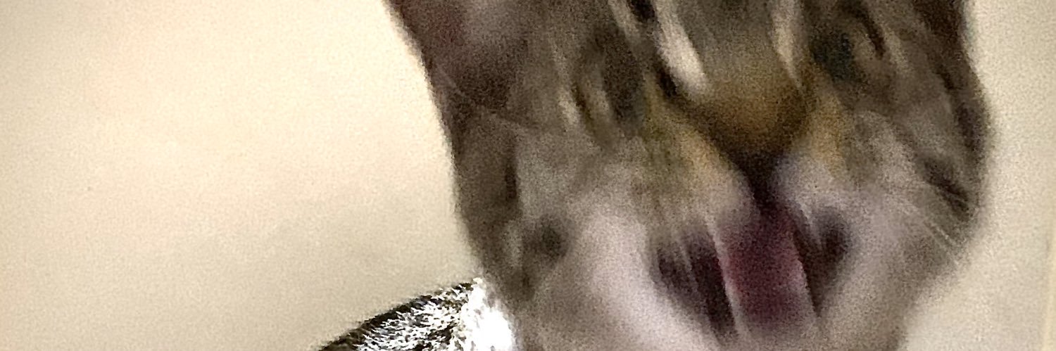 dabombkazz's profile banner image