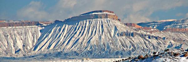 KREX5_Fox4 Profile Banner