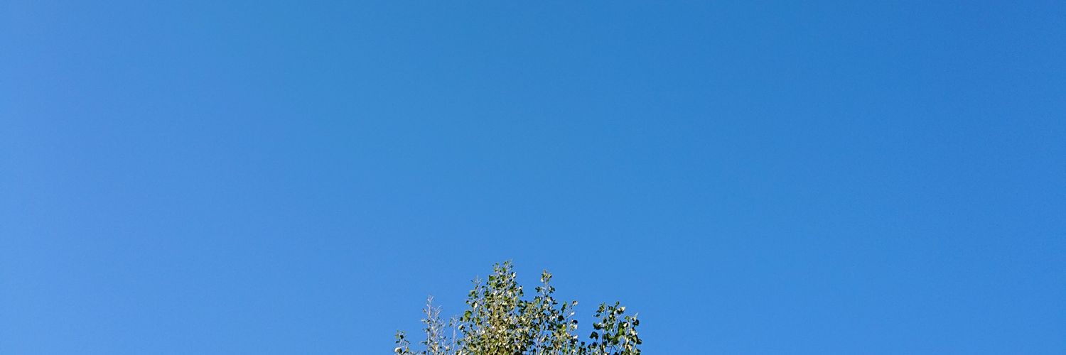 halbal684419's profile banner image