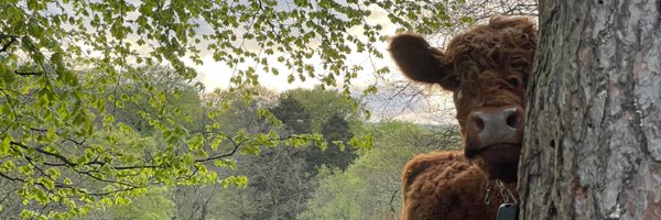 TreeAmblePod1 Profile Banner