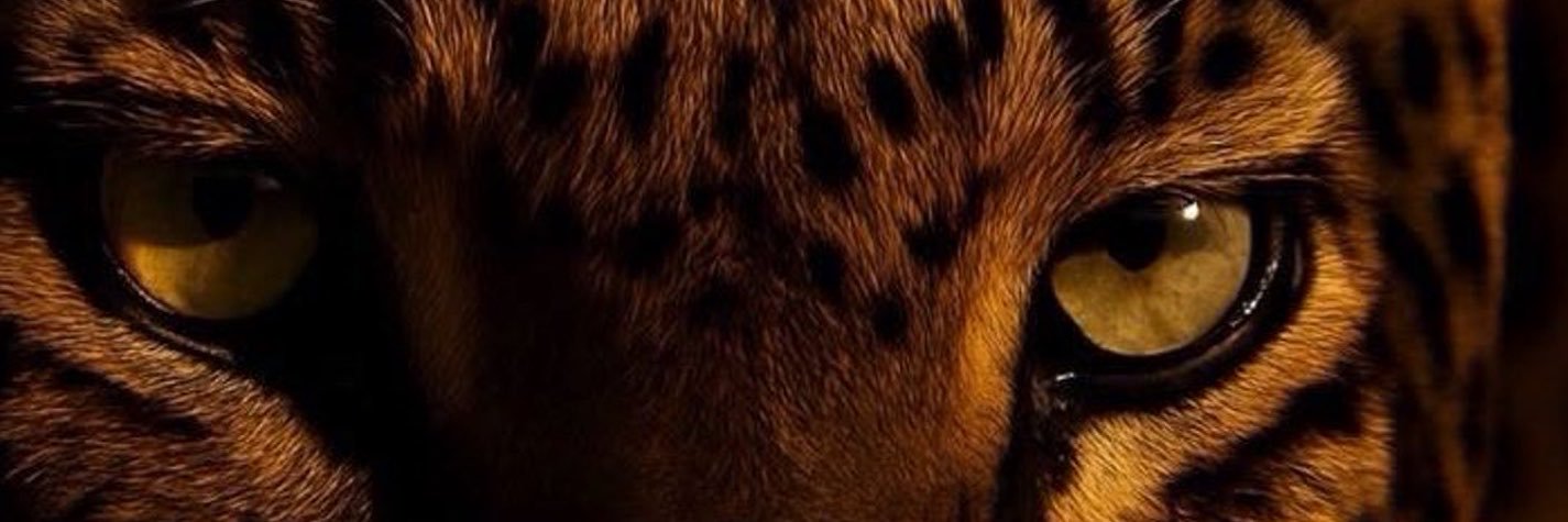 godessfromnatt's profile banner image
