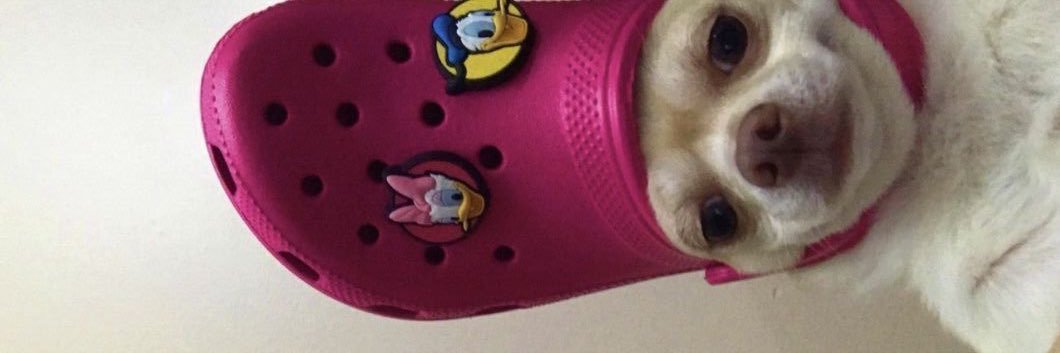 No__Creativity_'s profile banner image