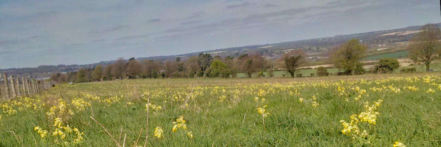 herpetologicltd's profile banner image