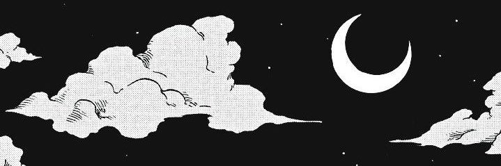 shereen banner