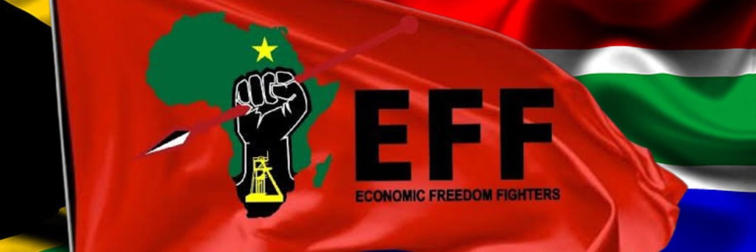 Sizwe the Fighter ✊🏾❤️💚🖤's banner