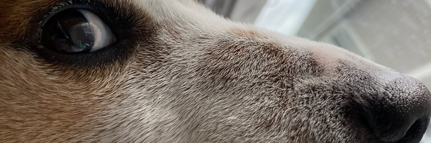 C banner
