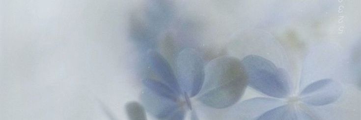 mmind banner