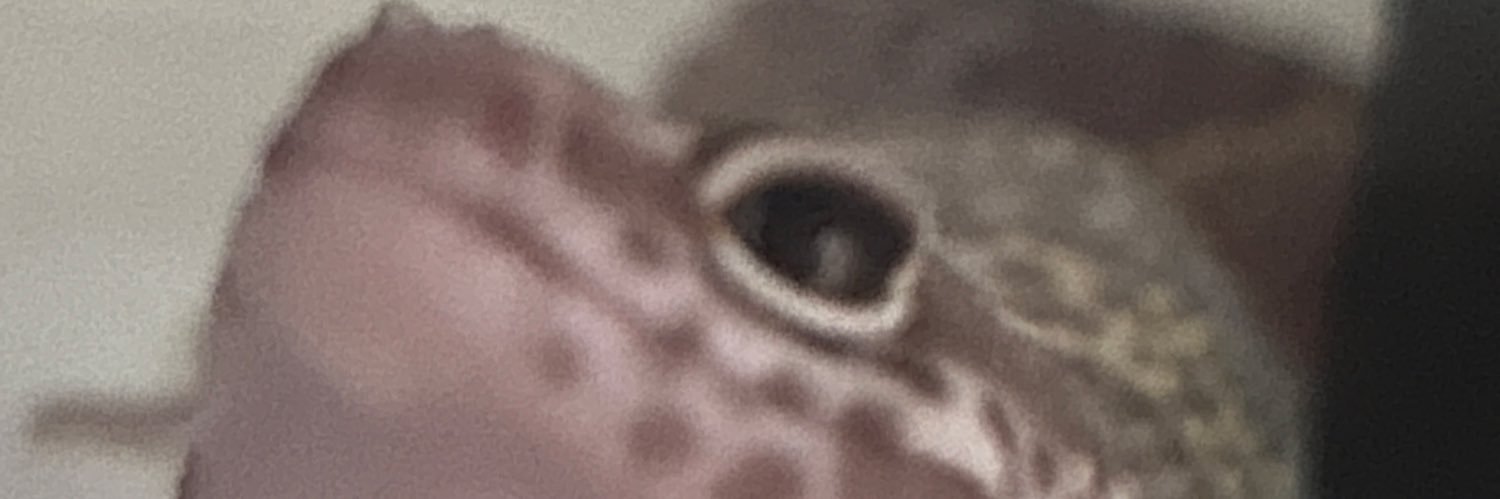 Cnifo✨🪰 banner