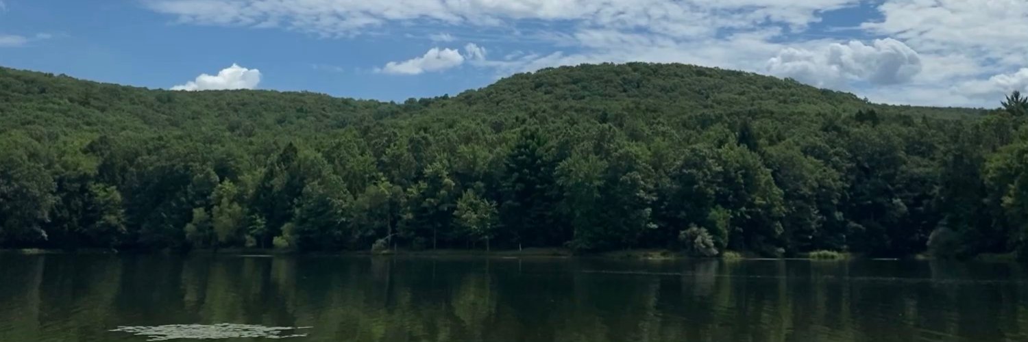 millydee3's profile banner image