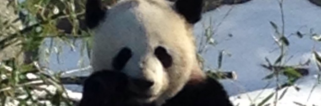 maggie172's profile banner image