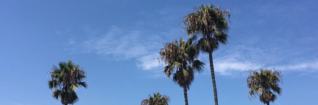 SerenaU's profile banner image