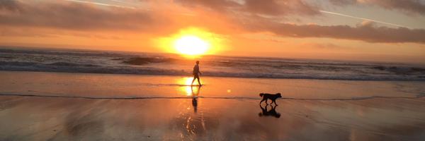 kagorges Profile Banner