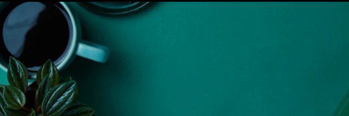 NO RUG IS A RUG! banner