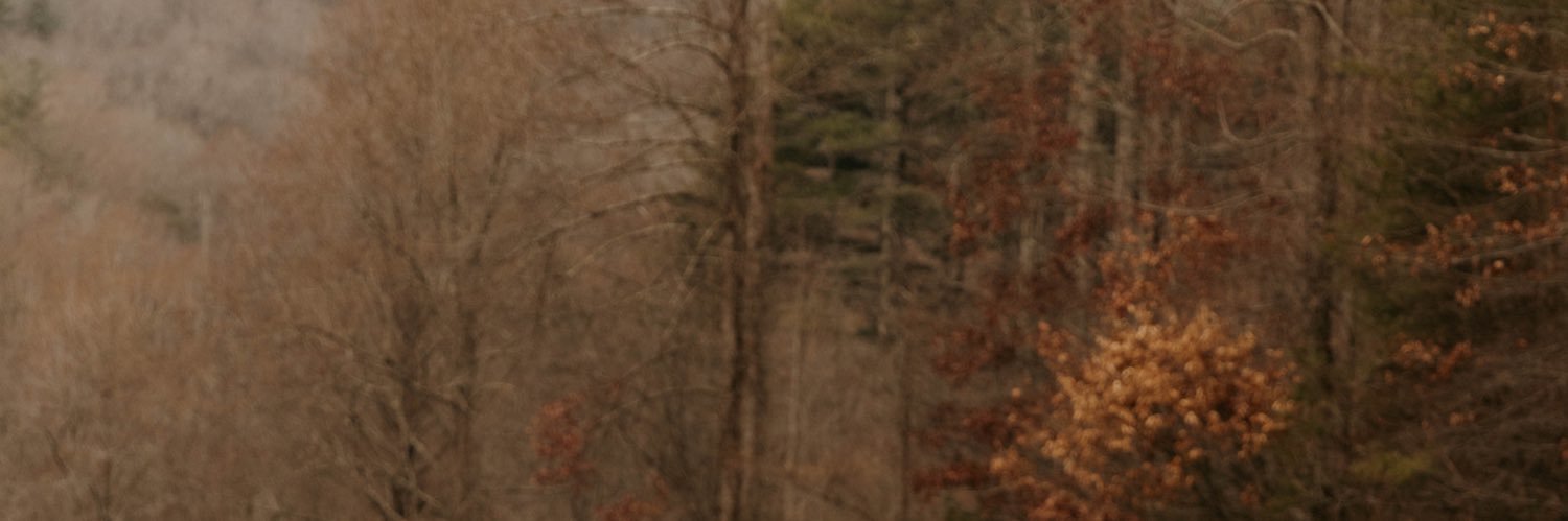 B banner