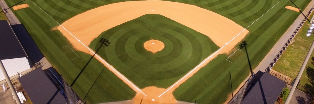 White House Baseball banner