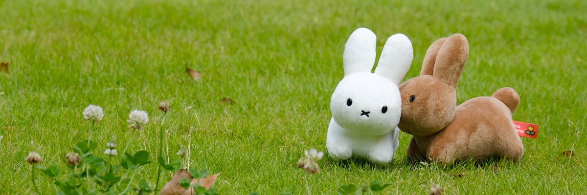 catdinsky's profile banner image