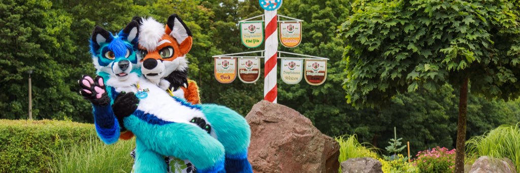 Kacec The Fox 🇩🇪 banner