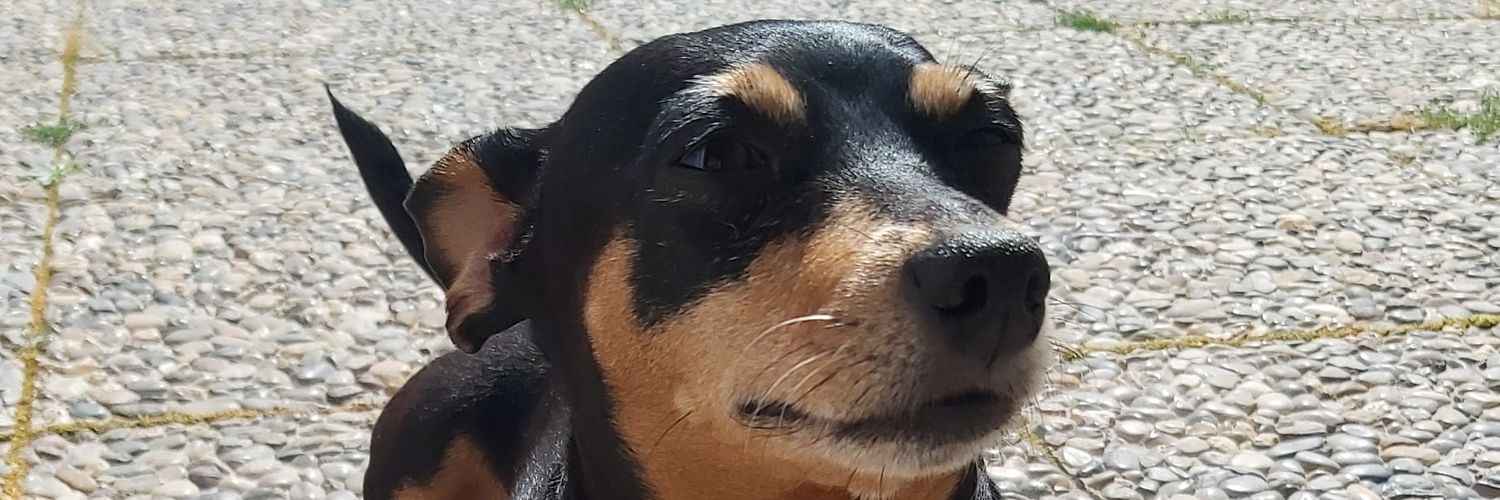 Hillary_ZM's profile banner image