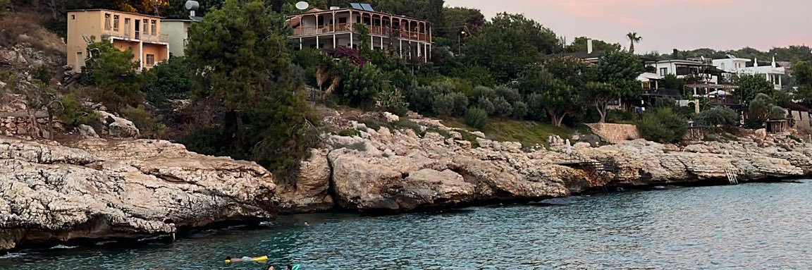 Dicle Durmaz banner