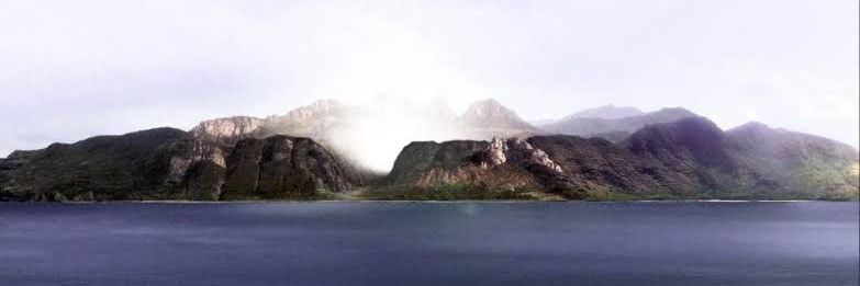 Linus banner