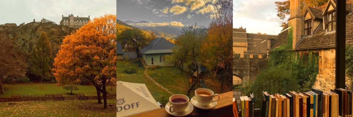 chloe ❀ • booktwt banner