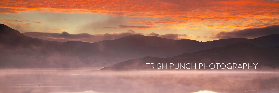 TrishPunch's profile banner image