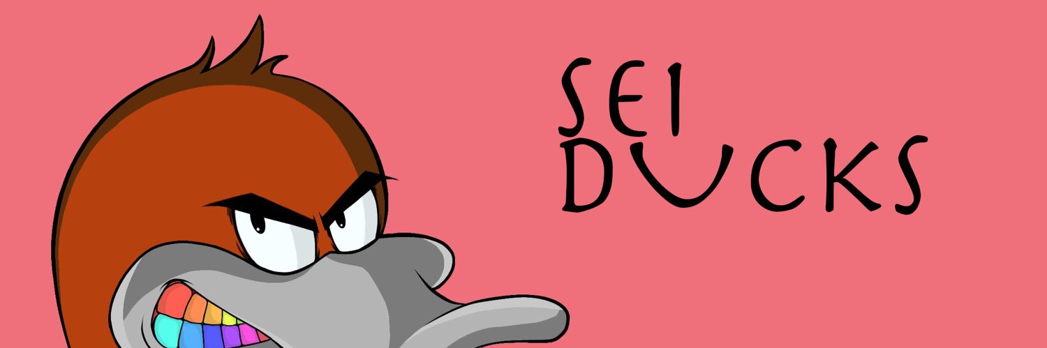 SEI Ducks banner