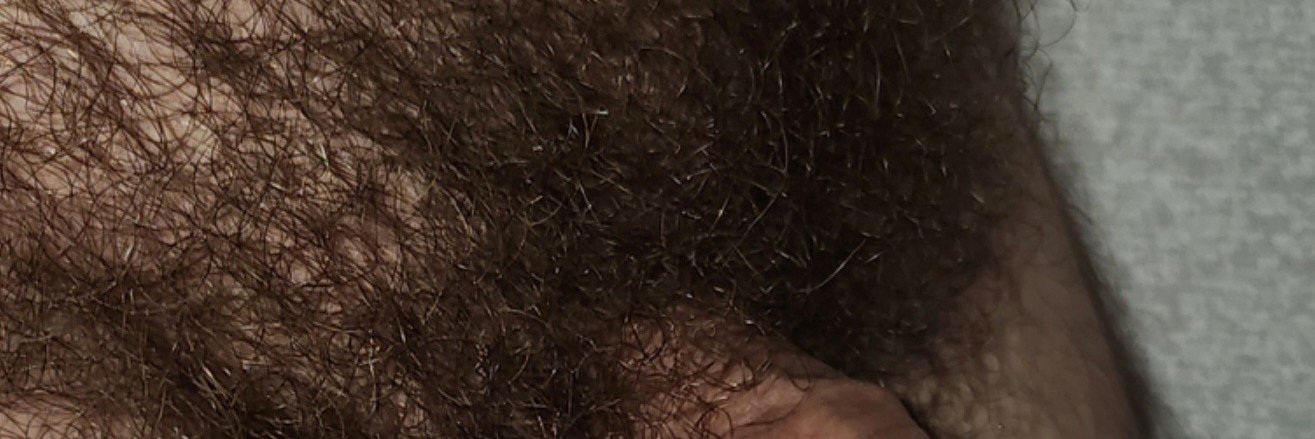 ha48854703's profile banner image