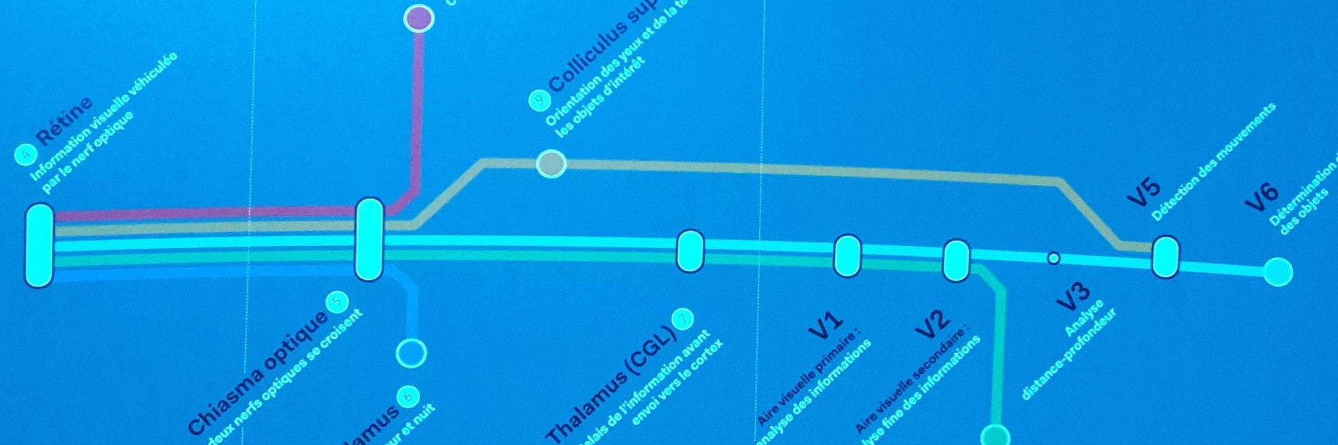 Alberto Lazari banner