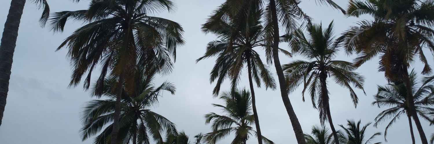 sollhanna's profile banner image