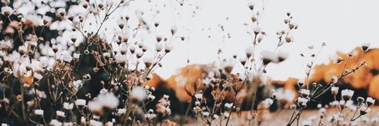 eyakanaj's profile banner image