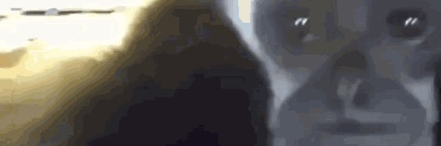 Azoonke banner