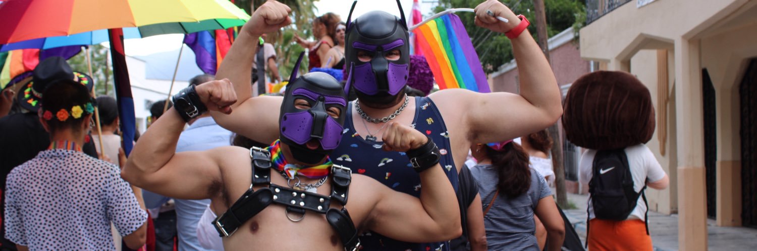 PupTyto's profile banner image