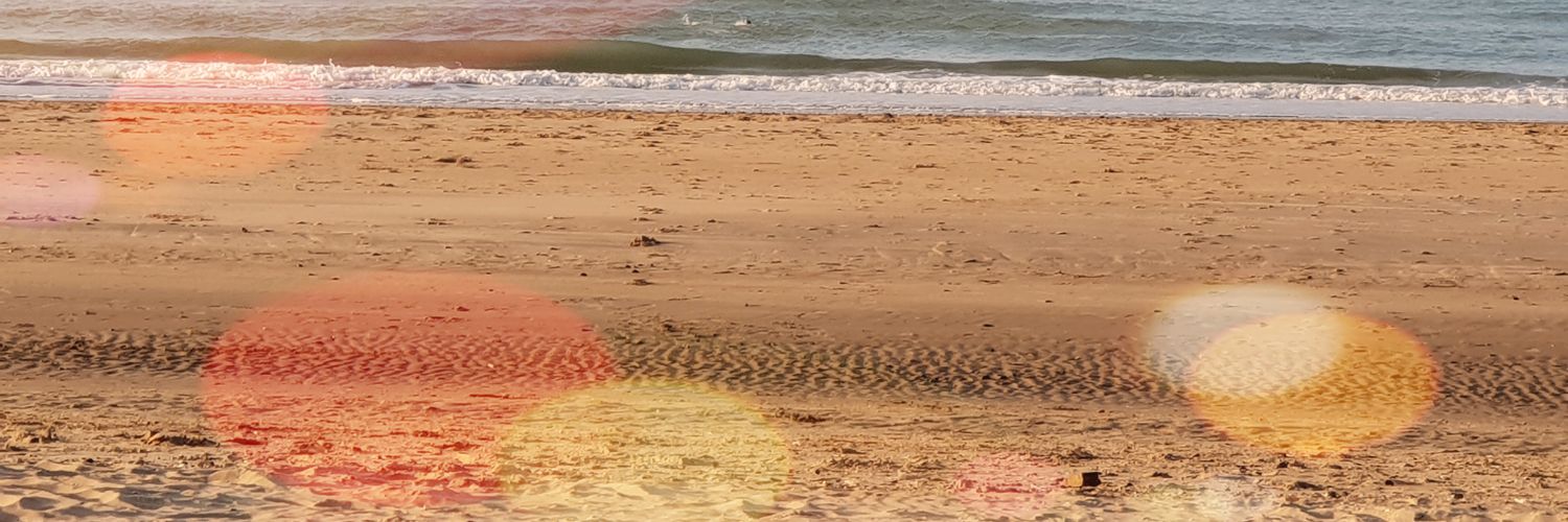 SusanShiney's profile banner image