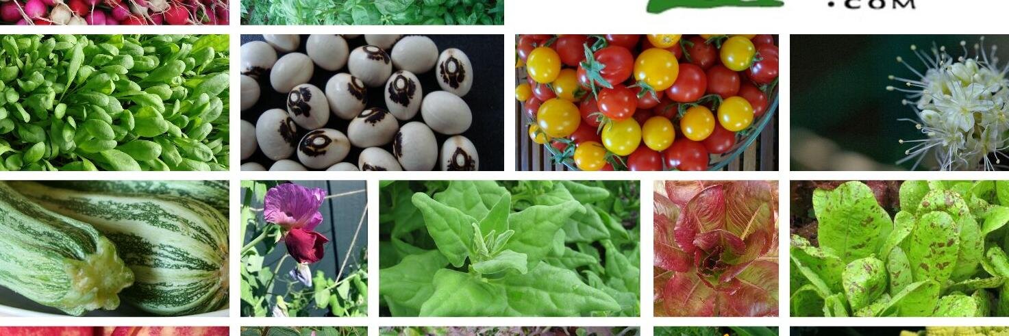 I_Grow_Things's profile banner image