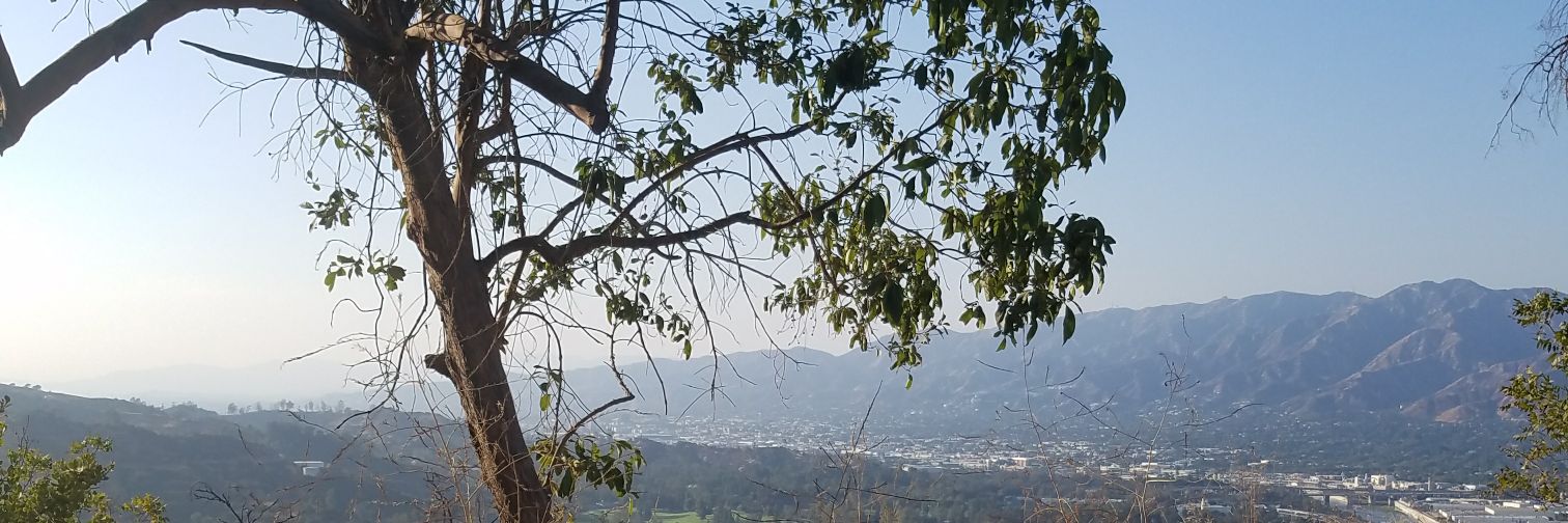 catfrend's profile banner image