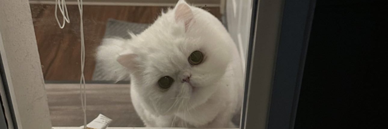 farnaz🇮🇷 banner