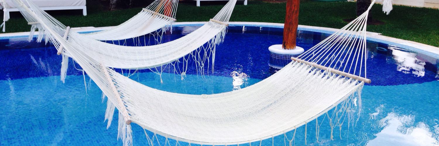 Cindy Forrest banner