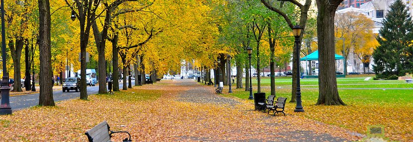 Nadine Horton banner