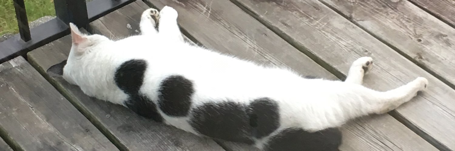 ssk_corgi's profile banner image