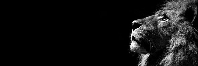 Jeison18hc's profile banner image