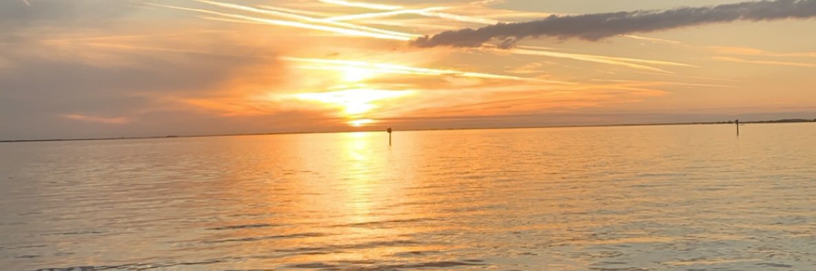 Alexlizzaa's profile banner image