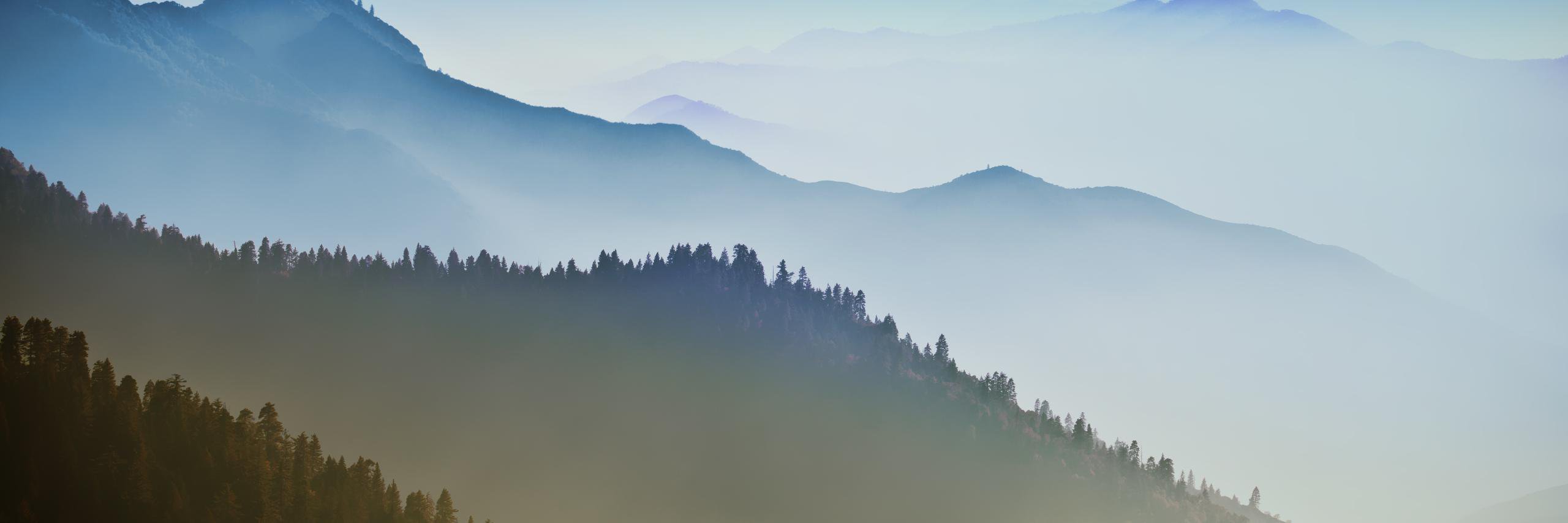 aryamahzar's profile banner image