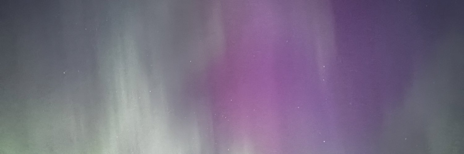 vanesuazo's profile banner image