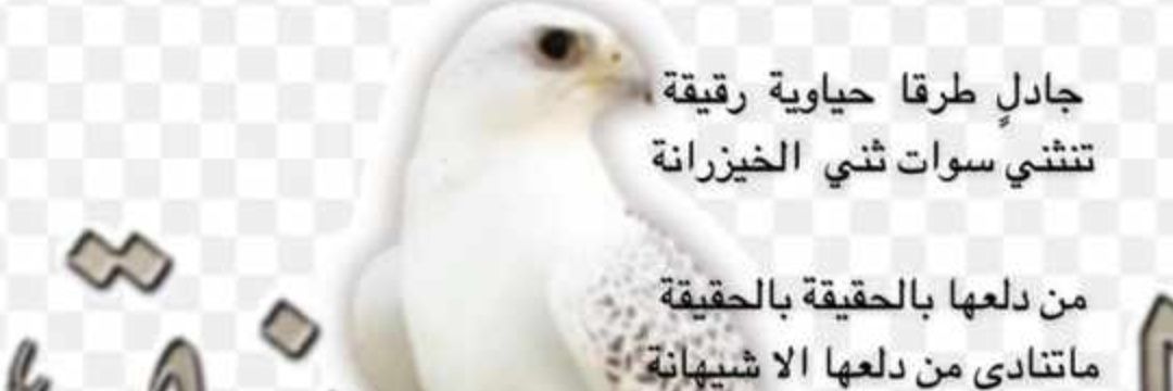 سهم دله banner
