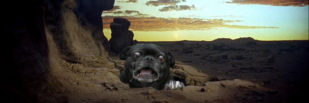 groshbarr's profile banner image