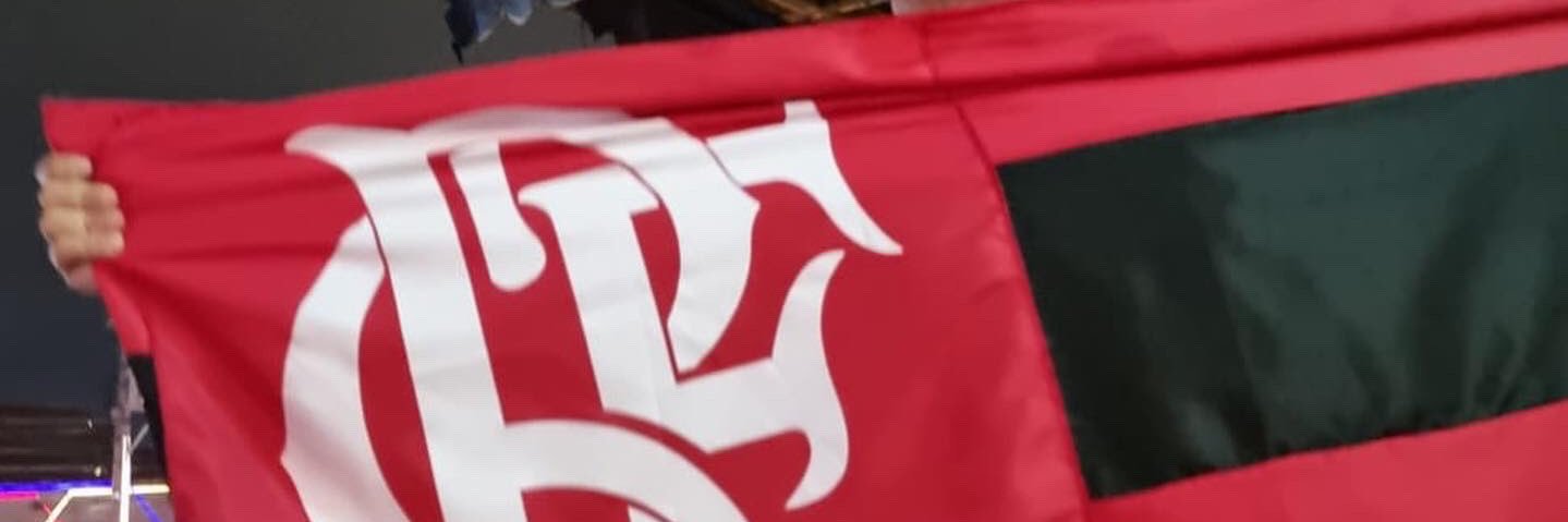 alceuvilela's profile banner image