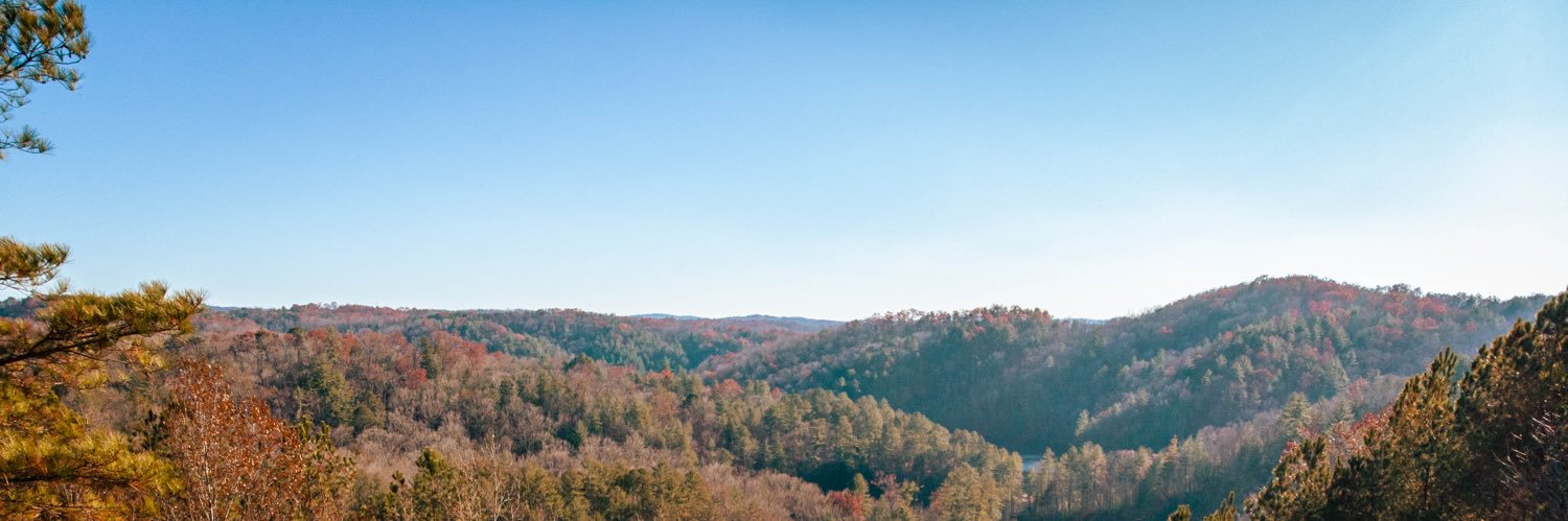 thatguymarlo's profile banner image