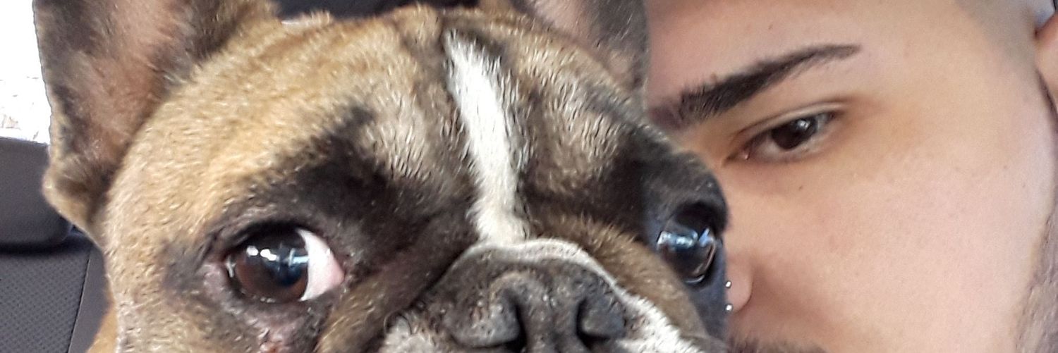 IvoSimionatto's profile banner image