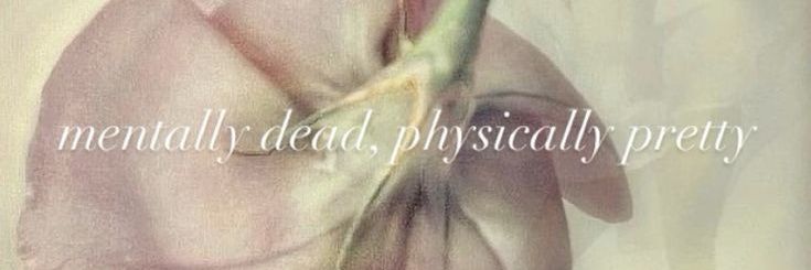 rara ꩜ .ᐟ banner